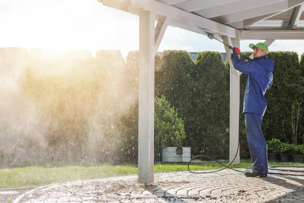 Best Solar Panel Cleaning  in Wallace, NC